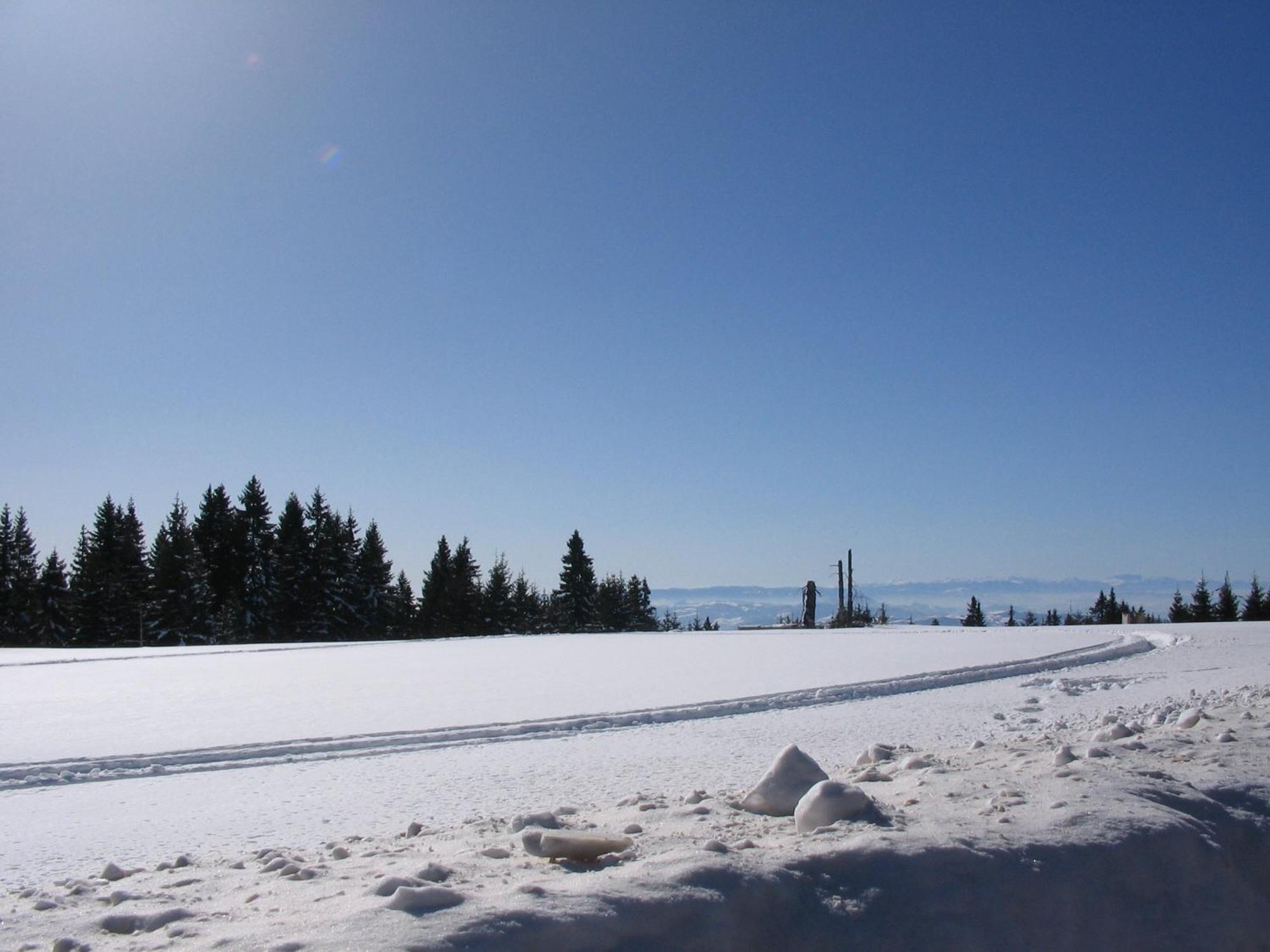 Villa Kostic Kopaonik Exterior foto